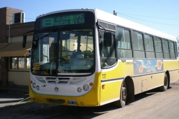 linea 8 cole