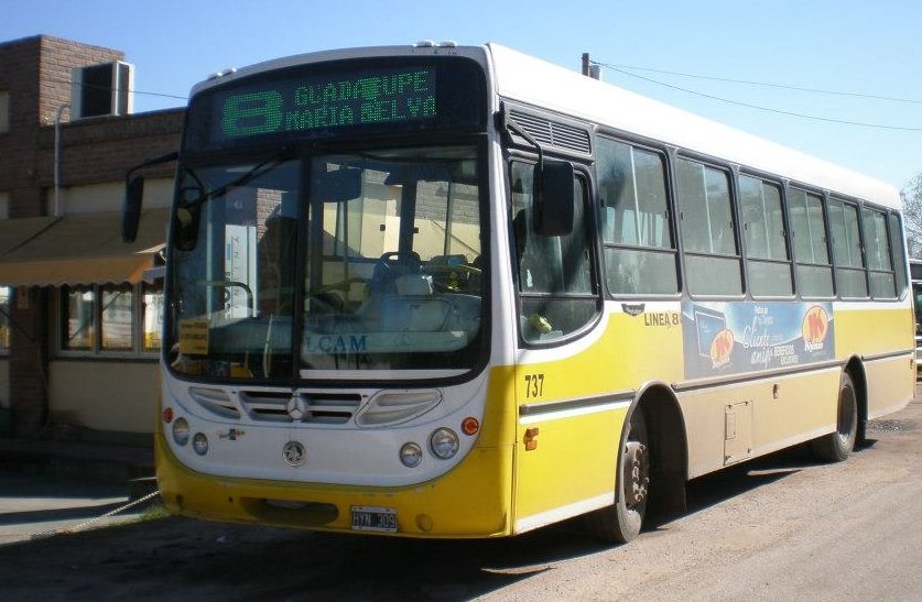linea 8 cole