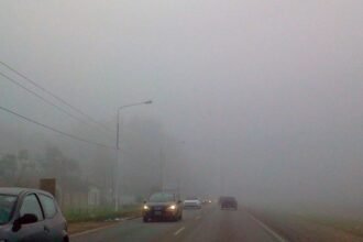 niebla