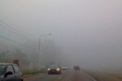 niebla