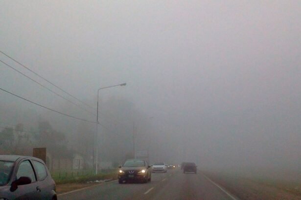 niebla