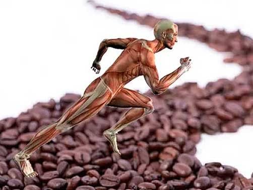 La cafeína como aliada del rendimiento deportivo 61 CAFE DEJPORTE