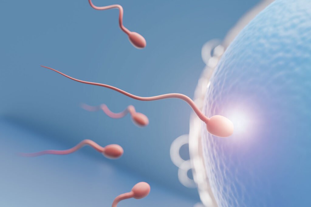 Fertilidad y Obstetricia