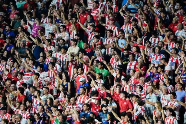 UNION HINCHADA