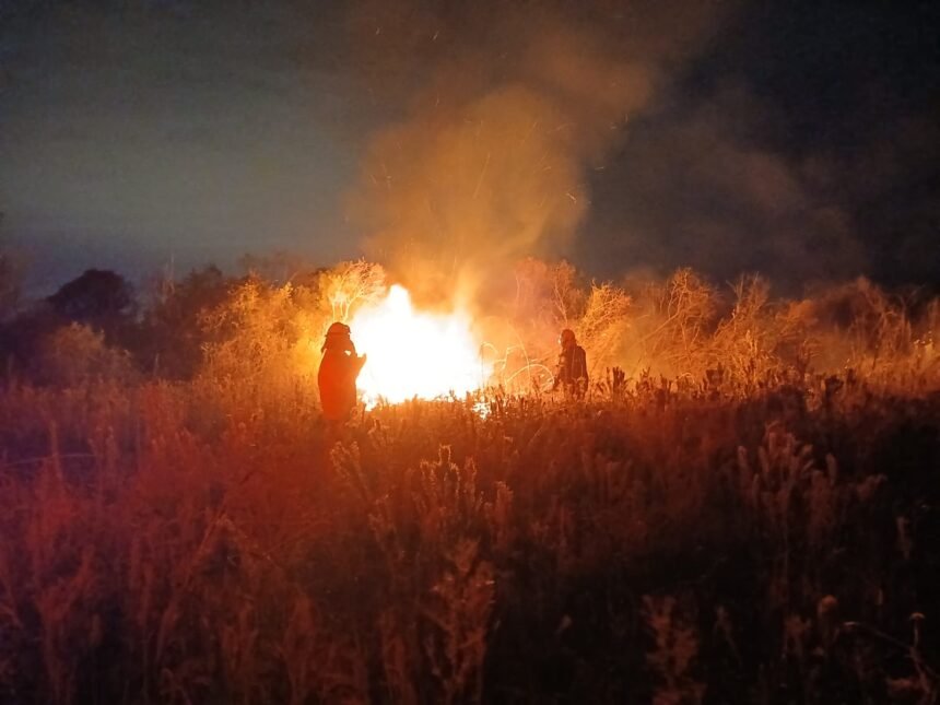 Comenzó la temporada de incendios de pastizales: Bomberos debieron intervenir en Recreo 57 WhatsApp Image 2026 06 01 at 19.42.03