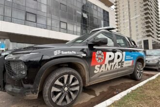 amarras policia
