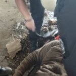 bomberos