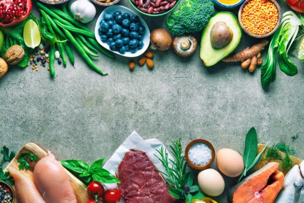plant vs animal protein