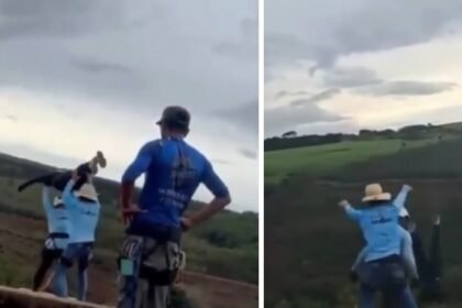 salto brasil