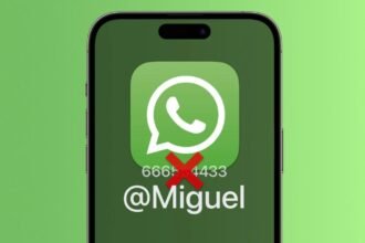 whatsapp usuario