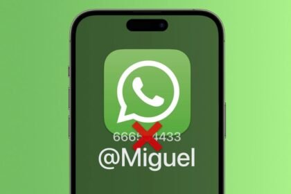 whatsapp usuario