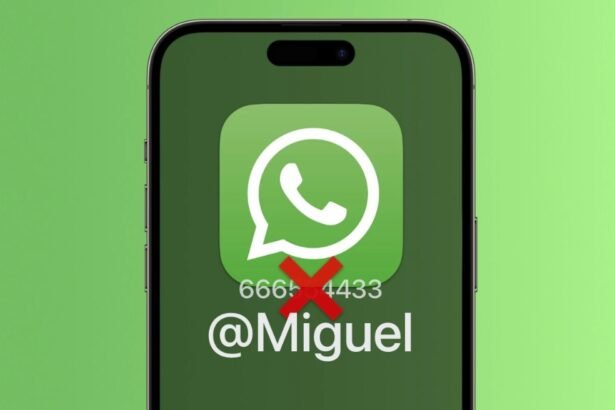 whatsapp usuario
