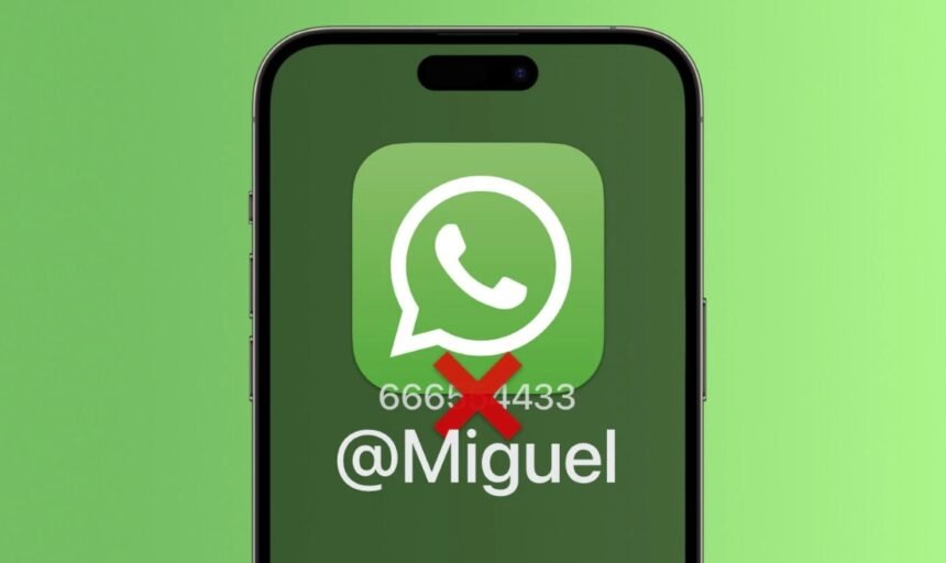 whatsapp usuario