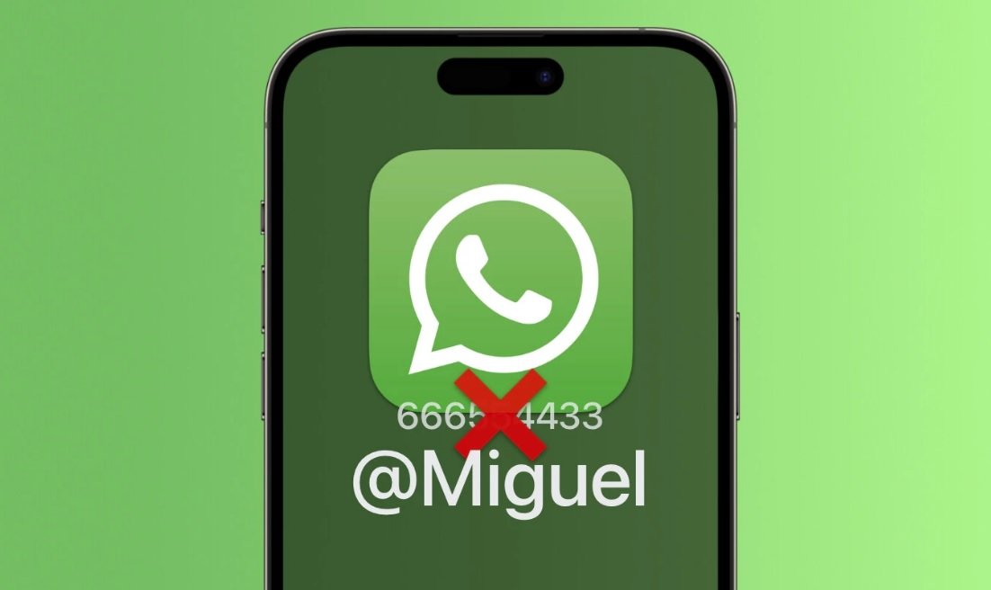whatsapp usuario