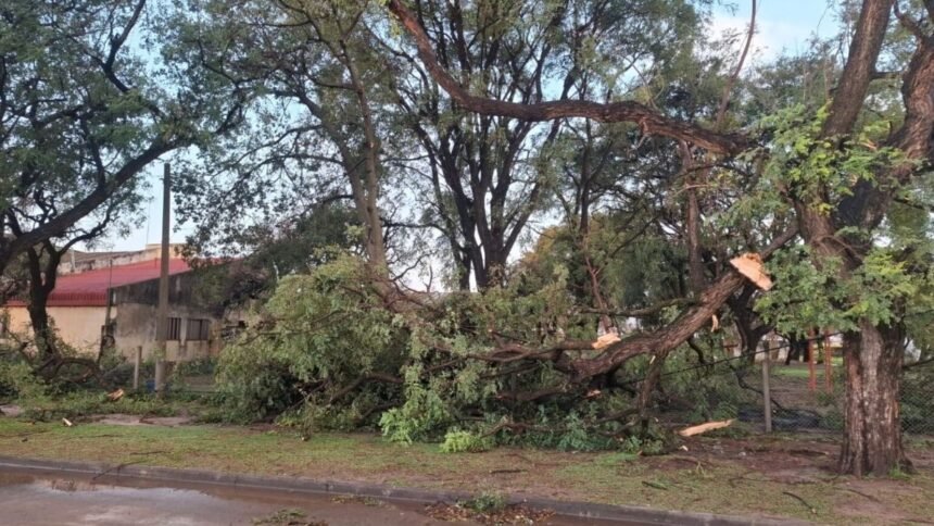 San Javier evalúa los daños que dejó el fuerte temporal del fin de semana 59 1200x675 2026 07 20T082940.869