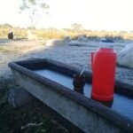 Heladas campo
