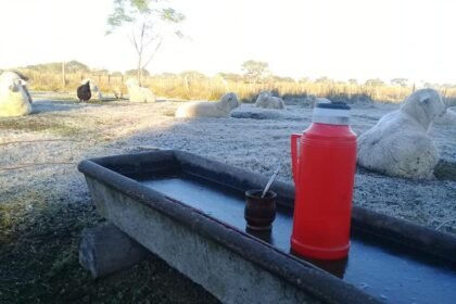 Heladas campo