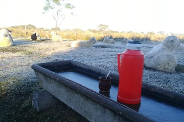 Heladas campo