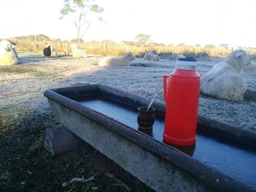 Heladas campo