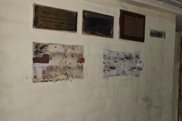 ROBO ESCUELA