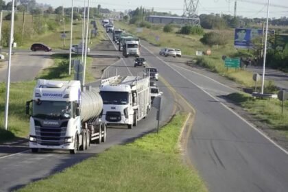 Ruta ao12