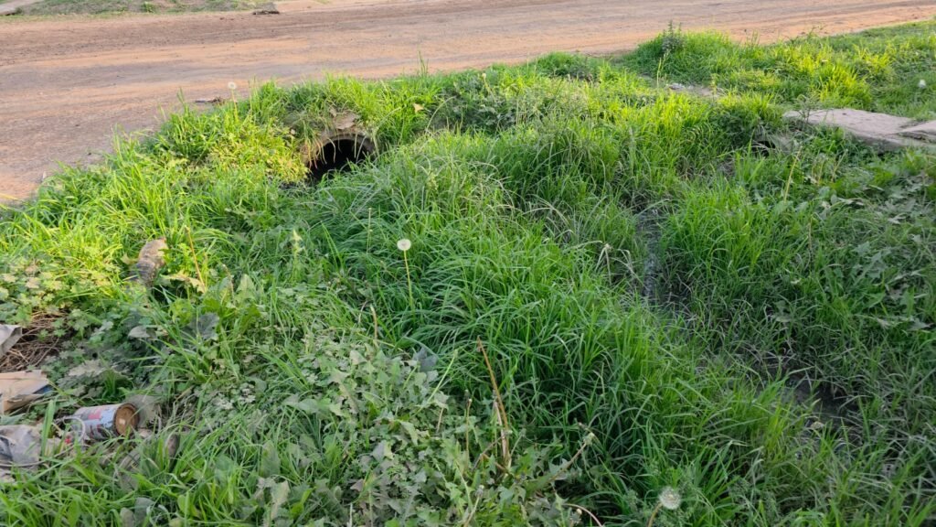 Vecinos de barrio Nobleza limpiaron canales y cunetas para prevenir anegamientos ante la llegada de El Niño 60 WhatsApp Image 2026 07 18 at 11.09.55