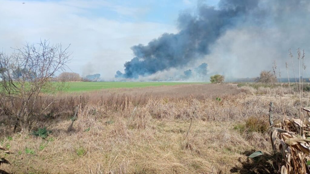 Importante incendio de pastizales y cañaveral entre Recreo y Santa Fe: una densa columna de humo fue visible desde varios kilómetros 60 WhatsApp Image 2026 07 18 at 13.26.17