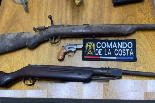 armas 1