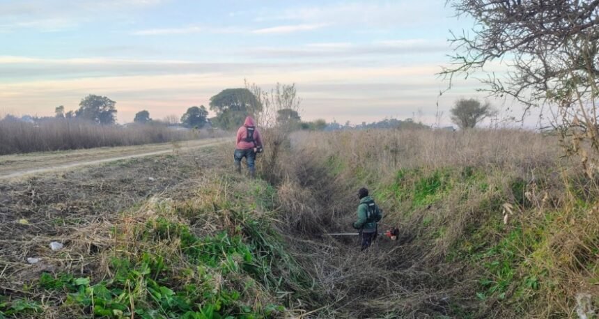 El Municipio priorizará la limpieza de canales y postergará la compra de un camión regador 60 canales limpieza