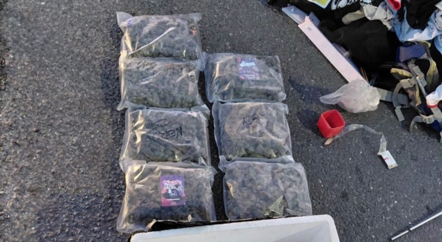 Detuvieron a un hombre y secuestraron casi dos kilos de marihuana en un operativo sobre la RP 1, en Sauce Viejo 61 droga 1