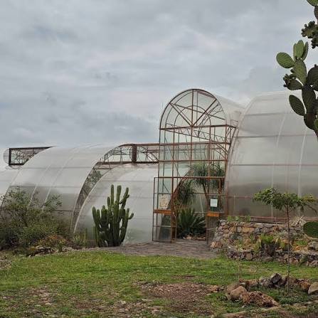 El santuario de los cactus: el proyecto chileno que recuperó más de 25.000 ejemplares nativos 63 santuario cactus 1