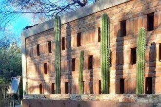 santuario cactus