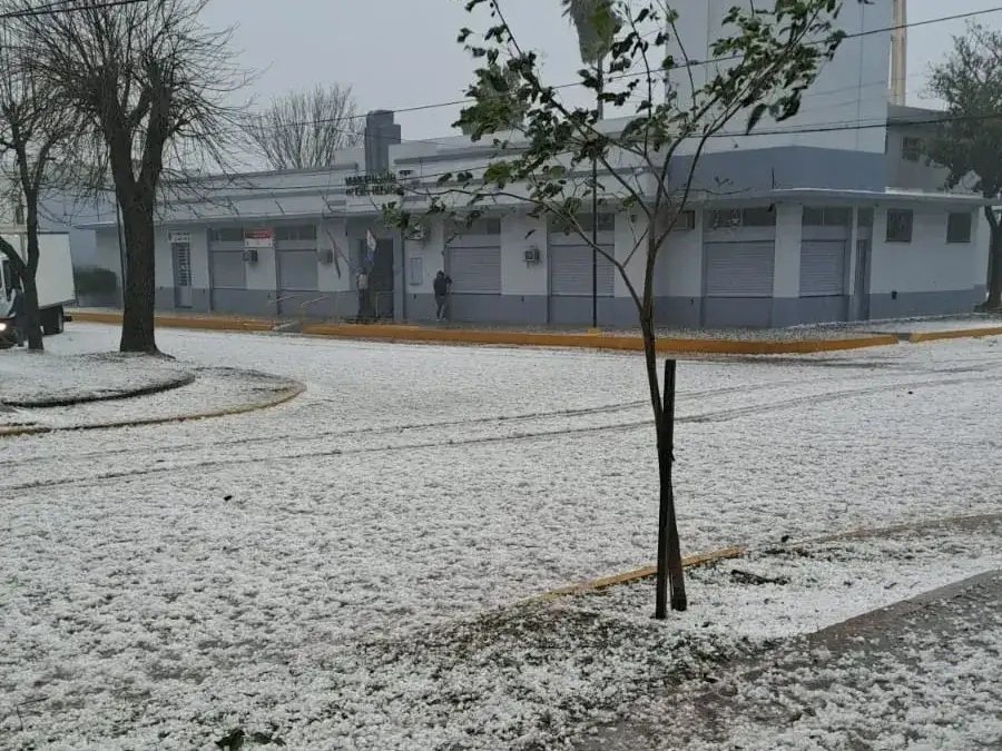Granizo y fuertes ráfagas provocaron destrozos en Las Rosas y el sur santafesino 61 CUATROOOO