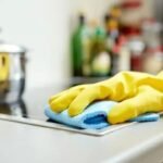 PERSONAL DOMESTICO