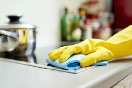 PERSONAL DOMESTICO