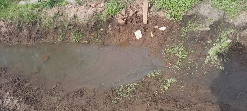 Vecinos de barrio Liceo denuncian desborde de aguas servidas y preocupación por contaminación 60 WhatsApp Image 2026 08 12 at 19.57.33