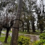 aguiar tormenta