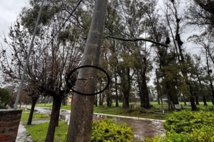 aguiar tormenta