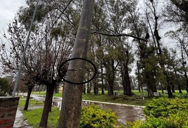 aguiar tormenta