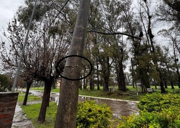 aguiar tormenta