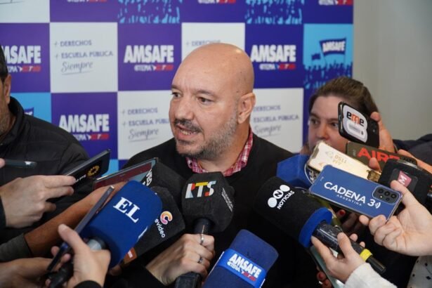 alonso amsafe 3
