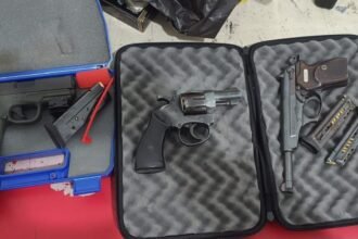 armas 1