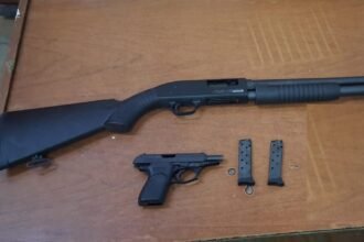 armas 3