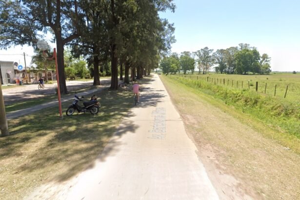 avenida mitre
