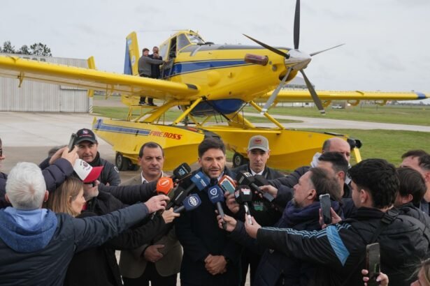 avion pullaro