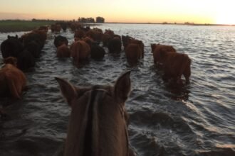 campo agua inundacion