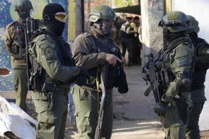 fuerzas federales