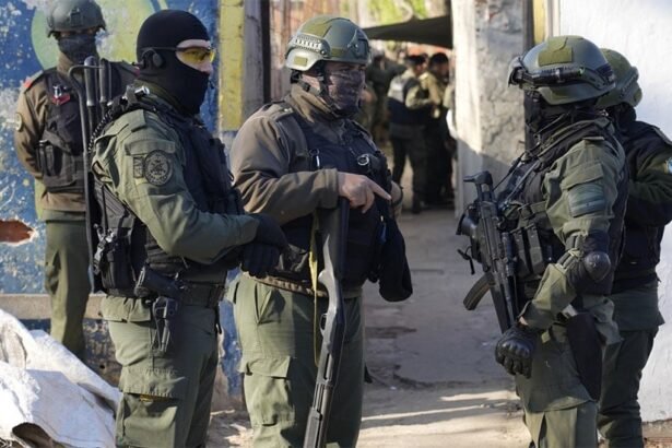 fuerzas federales