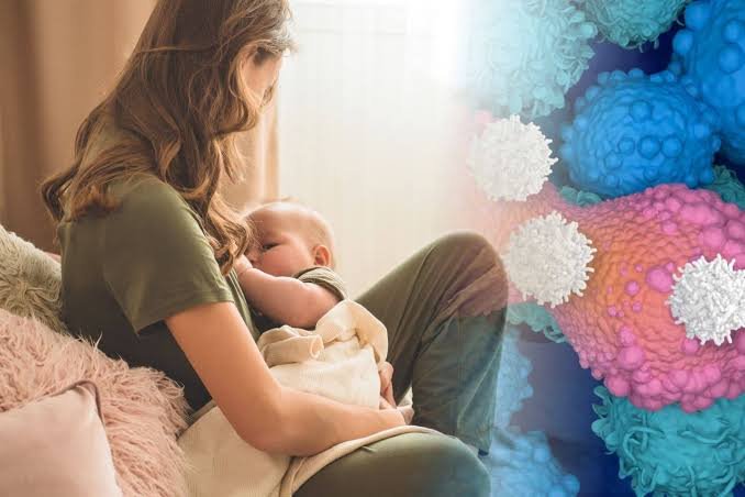 La lactancia materna podría ofrecer una protección contra el cáncer de mama 61 lactancia