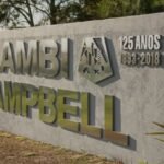 llambi campbell